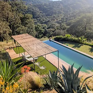 https://finca-bravo.es-andalucia.com
